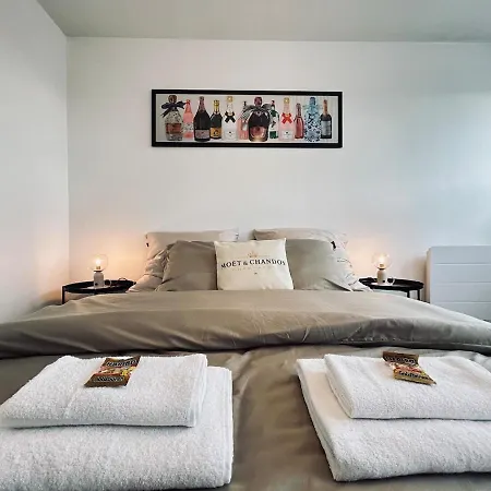 Apartment Champagne T3 Avec Balcon Et Garage Vue Basilique Reims