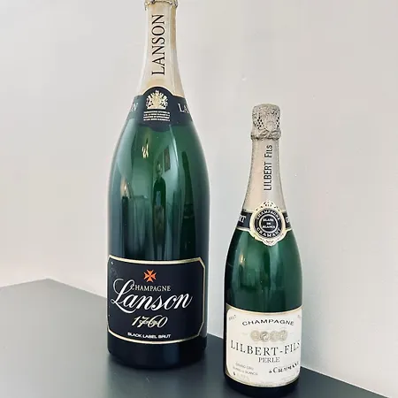 Apartment Champagne T3 Avec Balcon Et Garage Vue Basilique *